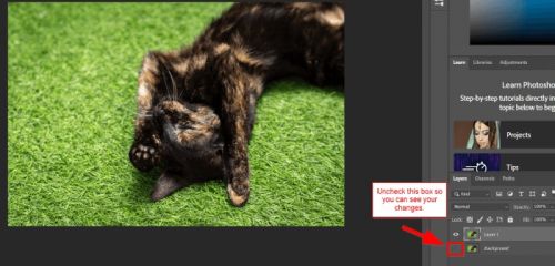 آموزش جدا کردن پس زمینه در فتوشاپ